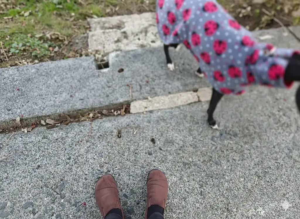 Freet Mooch barefoot shoes being worn during dog walk on outdoor trail
