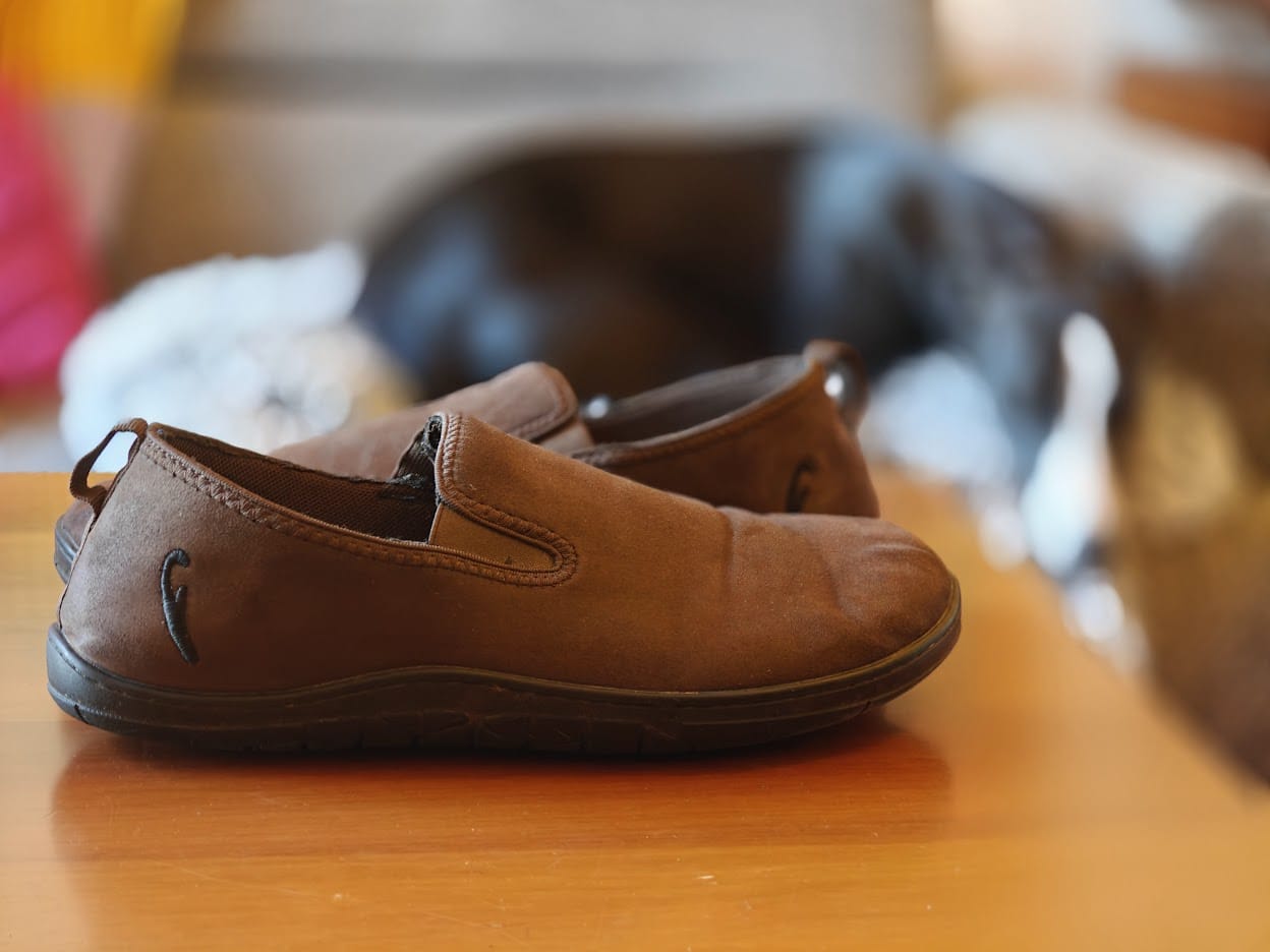 Freet Mooch brown barefoot shoes with dog in background showing everyday use