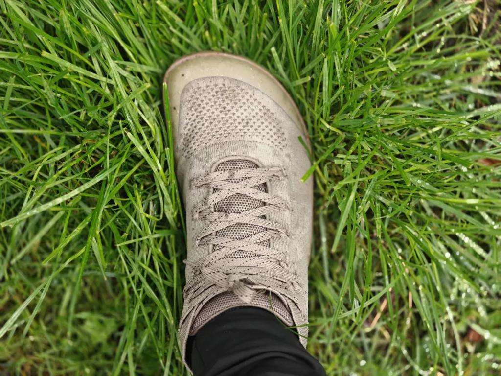 Freet Danum: On foot in tall wet grass.