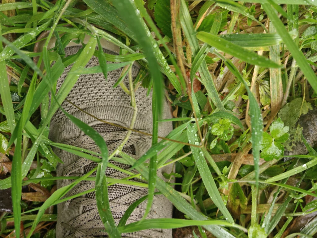 Top-down view of the Freet Danum shoe partly submerged in wet grass and clover with water droplets.